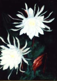 l@haya_4.jpg