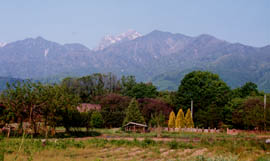 2001.05.20Eb]_photo148